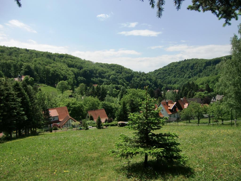 Ferienhaus Haus Am Wald Stolberg i. Harz Dış mekan fotoğraf