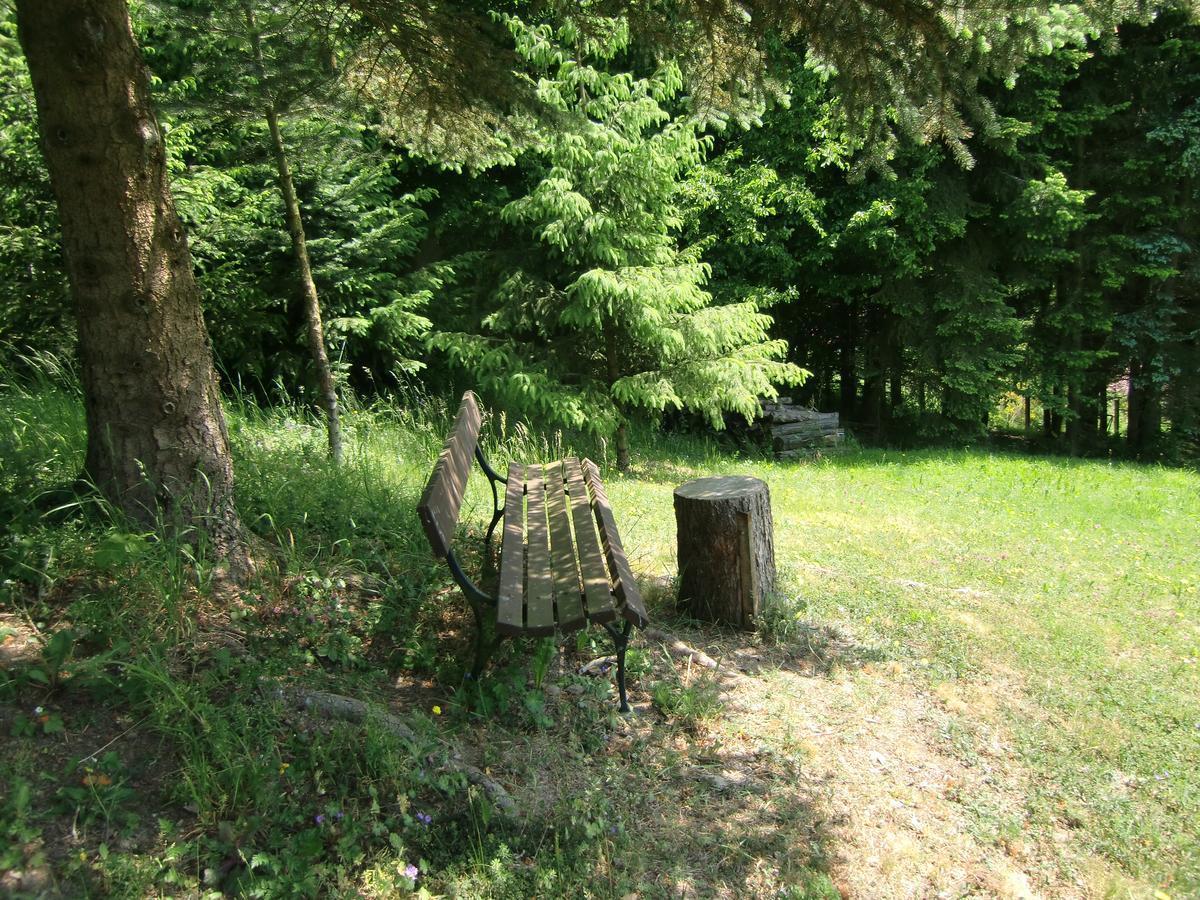 Ferienhaus Haus Am Wald Stolberg i. Harz Dış mekan fotoğraf